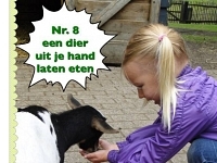 Foto bij artikel Groen & Doen op Daltonschool Naaldwijk