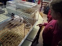 Foto bij artikel De Vlieten in het wild!